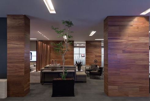 AVEMEX Office