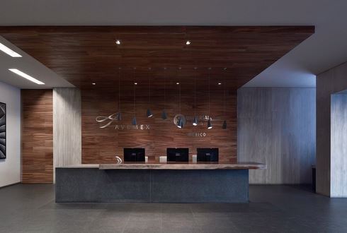 AVEMEX Office